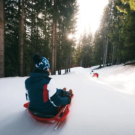 Апартаменты 2 Pieces + Cabine, Skis Aux Pieds - Fr-1-182a-7